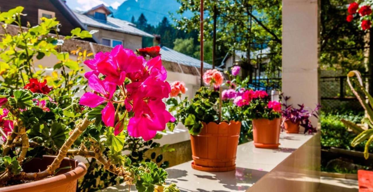 Hotel Casa Marian Buşteni Zewnętrze zdjęcie